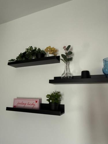 Cityscape-Cosy House By Anfield photo 34