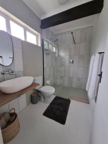 a bathroom with a sink and a toilet and a shower at Embrace This Planet Self-Catering Accommodation in Fisherhaven