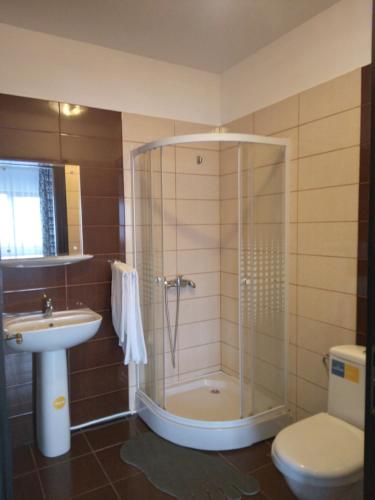 un bagno con doccia, lavandino e WC di Pensiunea Drumul Voievozilor a Arefu