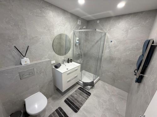 een badkamer met een douche, een toilet en een wastafel bij Žilina in Marijampolė