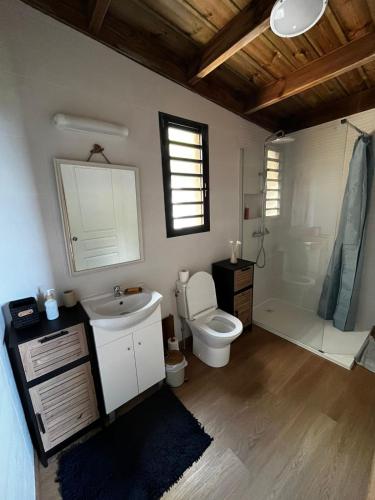 a bathroom with a toilet and a sink and a shower at Les chalets de la mare in Entre-Deux