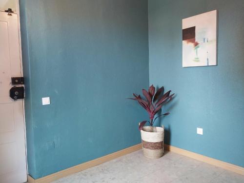 a blue wall with a potted plant in a room at Sol, Terra e Mar- No coração do Plateau in Praia