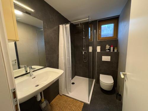 un bagno con lavandino, doccia e WC di Sandrina a Zagabria