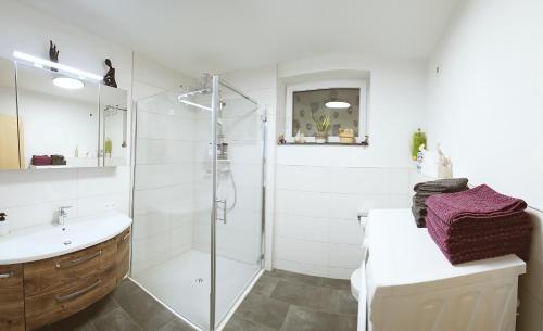 un bagno bianco con doccia e lavandino di Konis Ferienwohnung a Rangersdorf