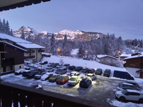 Appartement Les Carroz d'Araches 4 à 6 couchages, vue sur montagne