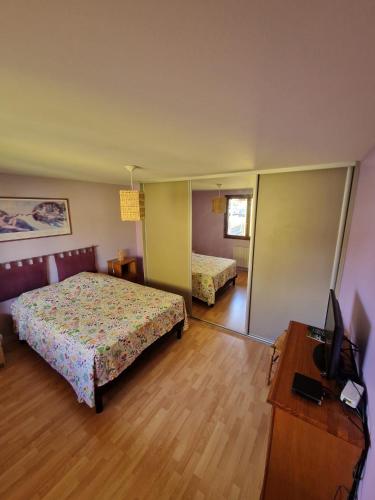 a bedroom with two beds and a television in it at Chambre Privée avec Jardin in Clermont-Ferrand