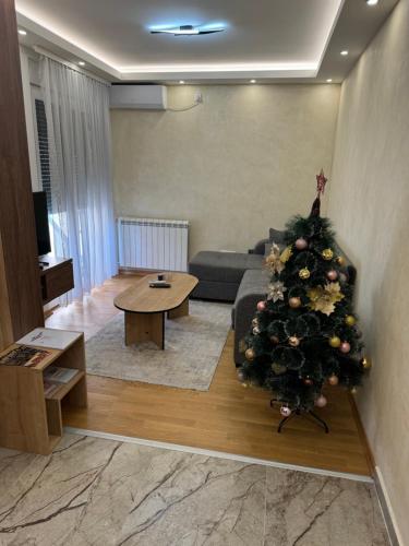 Et opholdsområde på Primavera apartments Banja Koviljaca