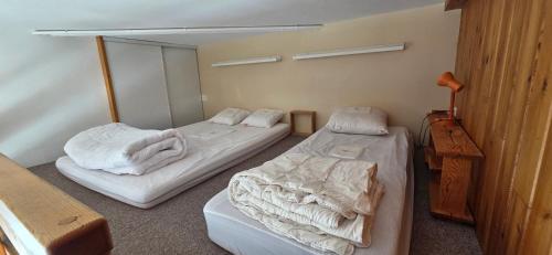 Location Les Deux Alpes, pieds des Pistes. 6 pers