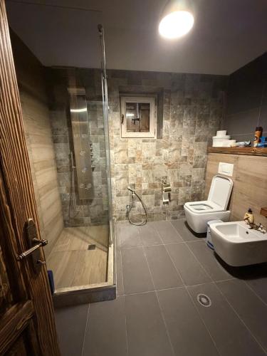 a bathroom with a shower and a toilet and a sink at Villa Naum in Voskopojë