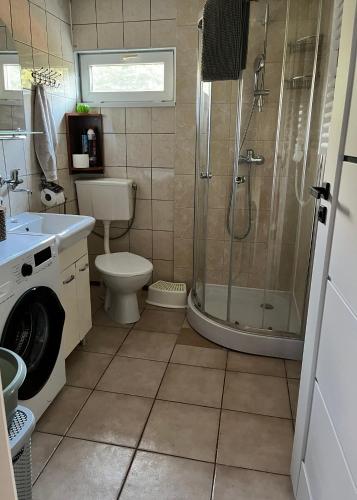 a bathroom with a shower and a toilet and a sink at Domek letniskowy Podamirowo in Podamirowo