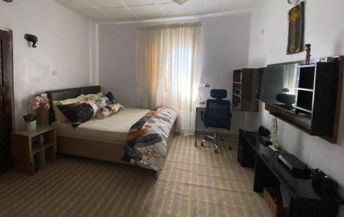 a bedroom with a bed and a television in a room at The Flamingo 2 in Jos