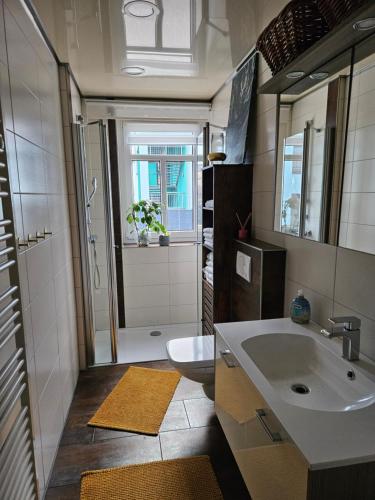 une salle de bains avec lavabo, douche et toilettes dans l'établissement Ferienhaus An der Burg, à Oschersleben
