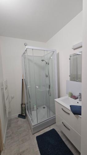 un bagno con doccia in vetro e lavandino di studio 4 a Fains-les-Sources