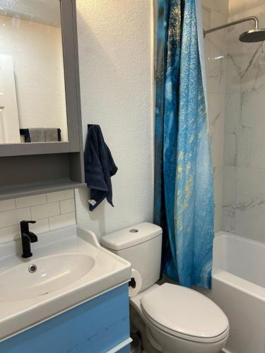 a bathroom with a toilet and a sink and a shower at Downtown Zen 2-Bedrooms Private Bungalow in St. Petersburg