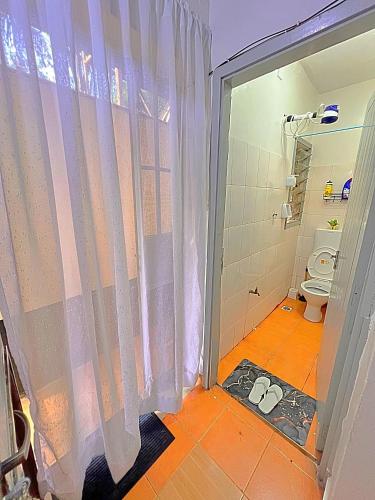 a bathroom with a shower curtain and a toilet at Luxury small Homely Apt villa in Kisumu