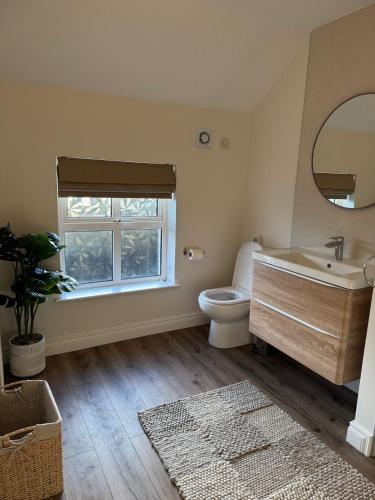 a bathroom with a sink and a toilet and a mirror at Pear Tree Cottage, Portstewart in Portstewart