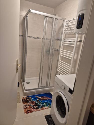 a bathroom with a shower and a washing machine at Haus an der Dorfteichstraße in Alt Krenzlin
