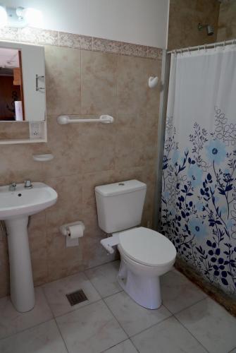a bathroom with a toilet and a sink and a shower at Chacra La Elena - Casa container a 15km de Madryn in Puerto Madryn