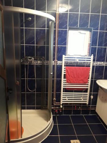 ein blau gefliestes Badezimmer mit Dusche und einem roten Handtuch in der Unterkunft Cabana Lac in Sadu