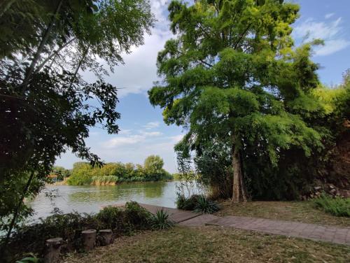 a view of a river from a park with trees at Csendzug Vendégház in Békésszentandrás