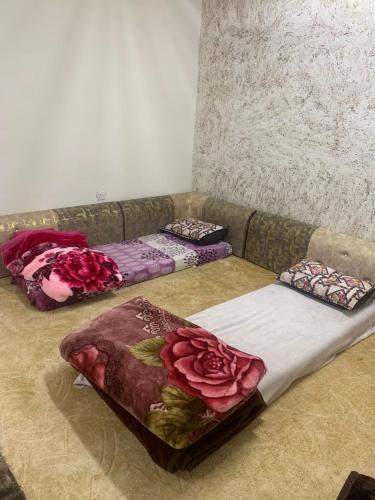 three pillows sitting on a couch in a room at Bedouin experiences in Aqaba