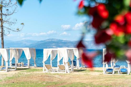 een rij witte stoelen en parasols op een strand bij Saint Peter Bay Aparthotel in Kavos