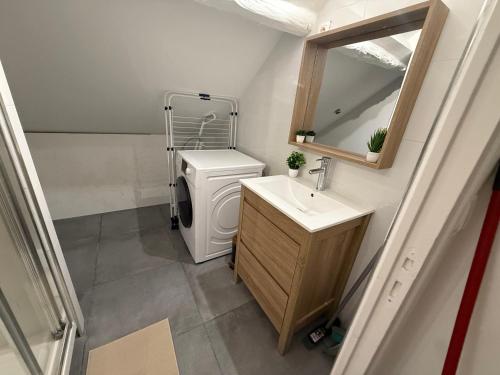 une salle de bains avec toilettes, lavabo et miroir dans l'établissement Appartement Villiers sur Morin proche de Disneyland, à Villiers-sur-Morin