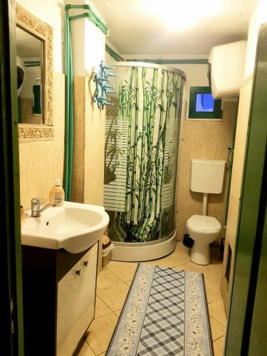 a bathroom with a shower and a sink and a toilet at Casa La Casiru 17 nature in Straja