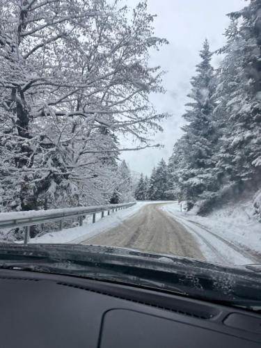cottage in tsemi (Borjomi) om vinteren
