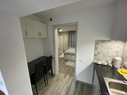 een keuken en een woonkamer met een wastafel en een tafel bij Valivillas Studio in Boekarest