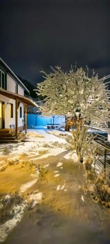 Naturlandskabet i nærheden af den private indkvartering