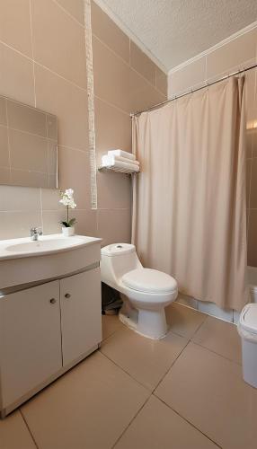 a bathroom with a toilet and a sink and a shower at La Galería B&B in Valparaíso