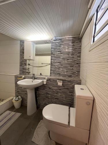 a bathroom with a toilet and a sink at Résidence Roxelle in Saint-Pierre