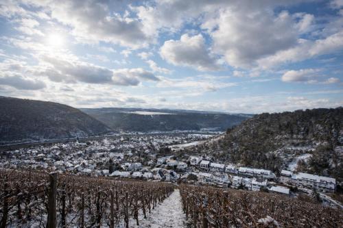 Een uitzicht op een wijngaard met een stad in de verte. bij Hotel Emmerich in Winningen