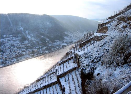 een hek op de helling van een heuvel naast een rivier bij Hotel Emmerich in Winningen