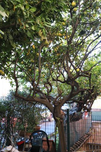 Casa con Giardino a Roma, 2 Camere, Ideale per Famiglie, 15 minuti dal Colosseo, 5 minuti da Mirti