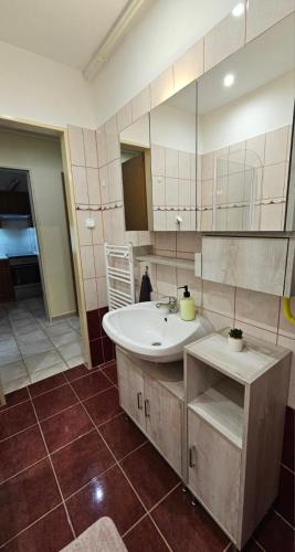 Koupelna v ubytování Lotti City Apartman