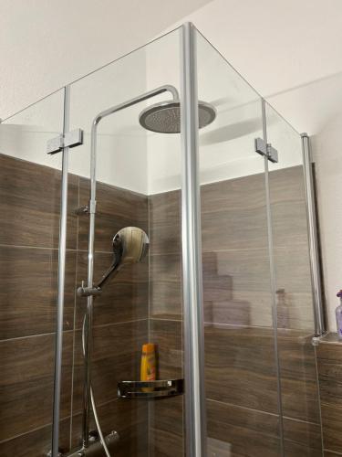 eine Dusche mit Duschkopf in einem Badezimmer in der Unterkunft Sonilife Ferienwohnung Obervellach zentral & naturnah in Obervellach