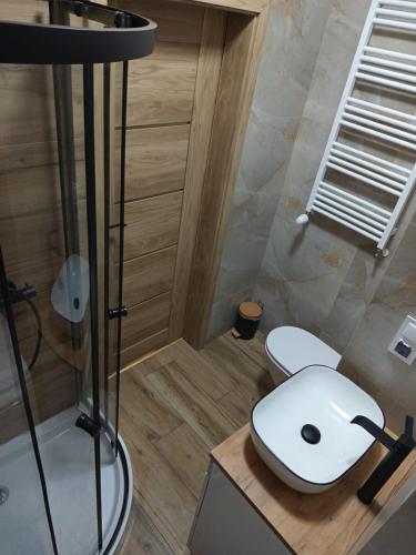 een badkamer met een wit toilet en een douche bij Apartamenty na Witosa in Nowa Sól