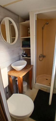 A bathroom at Stacaravan op de paardenboerderij Sneek