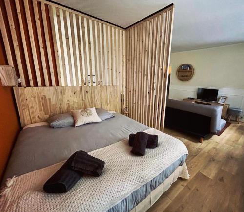 a bedroom with a bed and a living room with a couch at La Madeleine centre historique de Troyes in Troyes