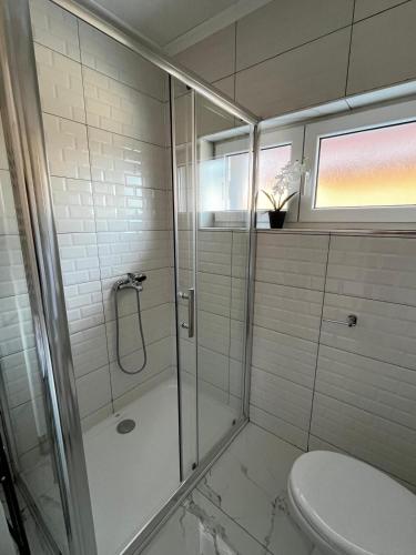 een badkamer met douche en toilet bij Apartman Marija in Kupres