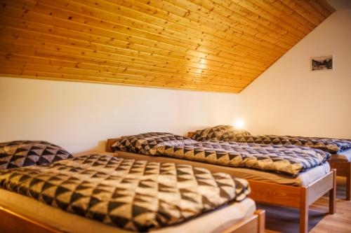 two beds in a room with a wooden ceiling at Apartmány U Hešů in Horní Lipka