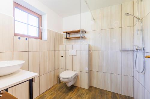 a bathroom with a toilet and a sink and a shower at Apartmány U Hešů in Horní Lipka