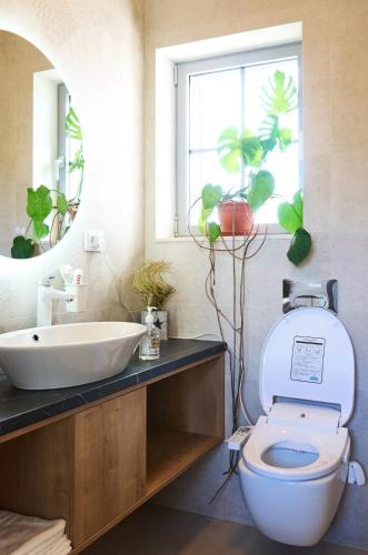 a bathroom with a toilet and a sink and a mirror at Vila Bella in Oradea