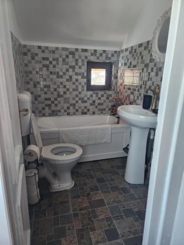 a bathroom with a tub and a toilet and a sink at Cabana Maria in Olăreşti
