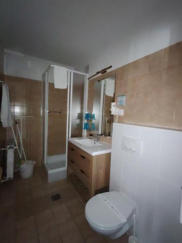 a bathroom with a toilet and a sink and a shower at Queen Lisbeth Street in Keszthely