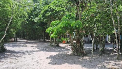 Fotografie z fotogalerie ubytování Cananéia Apoio Tours v destinaci Cananéia