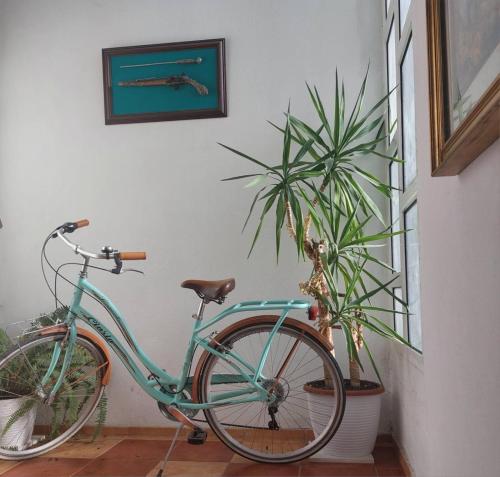 Fietsen bij of in de buurt van Apartment Maruni