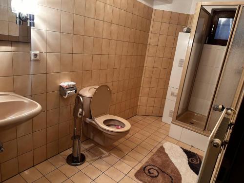 a bathroom with a toilet and a sink at Dortmund Brackel Wohnung in Dortmund